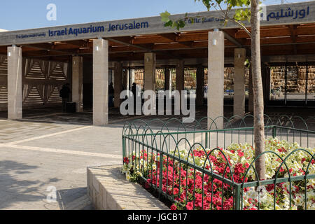 Jerusalem, Israel. 5. Juli 2017. Die Vorbereitungen sind im Gange, für die Öffentlichkeit öffnen, ein paar Wochen voraus, der Gottesman Familie Israel Aquarium Jerusalem. Die 100.000.000 ILS, 6.500 Quadratmeter Messgerät Aquarium, das erste seiner Art im Nahen Osten, mit mehr als 30 Becken unterschiedlicher Größe präsentiert Israels vielfältigen marinen Lebensräume und wird voraussichtlich eine wichtige touristische Attraktion in Jerusalem zu sein. Bildnachweis: Nir Alon/Alamy Live-Nachrichten Stockfoto