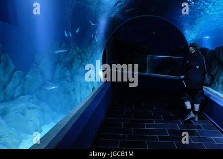 Jerusalem, Israel. 5. Juli 2017. Die Vorbereitungen sind im Gange, für die Öffentlichkeit öffnen, ein paar Wochen voraus, der Gottesman Familie Israel Aquarium Jerusalem. Die 100.000.000 ILS, 6.500 Quadratmeter Messgerät Aquarium, das erste seiner Art im Nahen Osten, mit mehr als 30 Becken unterschiedlicher Größe präsentiert Israels vielfältigen marinen Lebensräume und wird voraussichtlich eine wichtige touristische Attraktion in Jerusalem zu sein. Bildnachweis: Nir Alon/Alamy Live-Nachrichten Stockfoto