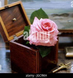 Rosa Blume in Holzkiste Stockfoto