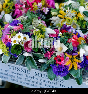 Blumensträuße über Schild Stockfoto