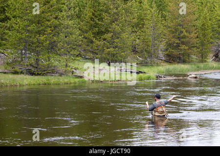 Ein Mann ist das Fliegenfischen in den Firehole River südlich von Madison Junction im Yellowstone National Park Stockfoto