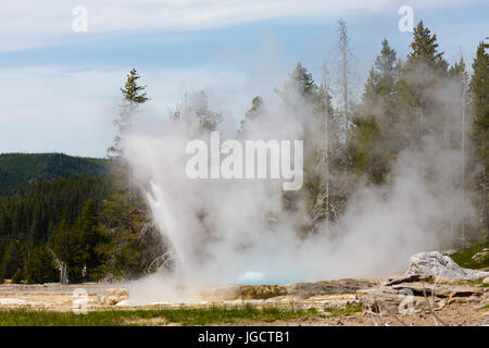 Grand Geysir in Upper Geyser Basin nahe Old Faithful im Yellowstone-Nationalpark Stockfoto