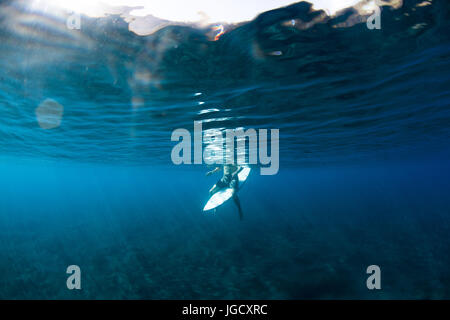 Mann sitzt auf einem Surfbrett warten auf einer Welle, Hawaii, Amerika, USA Stockfoto