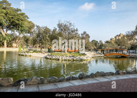 Olive Grove Park (oder El Olivar Wald) im Bezirk San Isidro - Lima, Peru Stockfoto