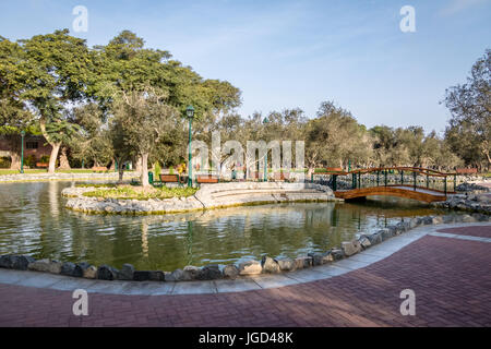 Olive Grove Park (oder El Olivar Wald) im Bezirk San Isidro - Lima, Peru Stockfoto