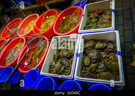 Frische Seeluft Tiere Inse von Kisten und Eimer, Fisch, Krabben in einem Markt von Hong Kong, China. Stockfoto