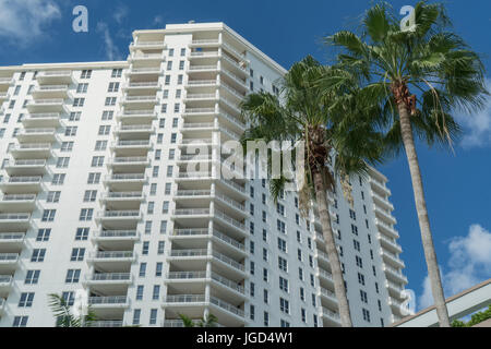 High-Rise Eigentumswohnung in Miami, Florida mit Palmen im Vordergrund. Stockfoto