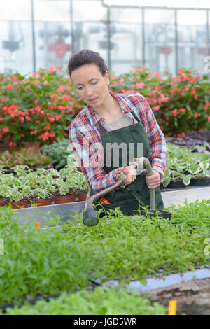 glücklich weibliche Kindergarten Arbeiter im Gewächshaus Stockfoto
