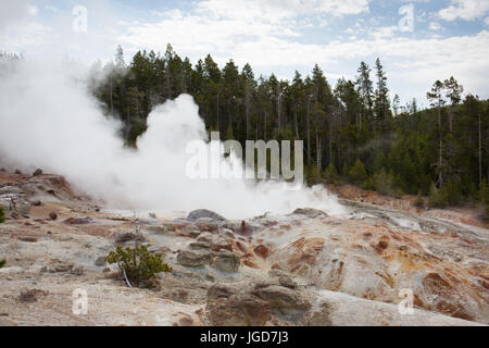 Steamboat-Geysir im Norris-Geysir-Becken im Yellowstone-Nationalpark Stockfoto