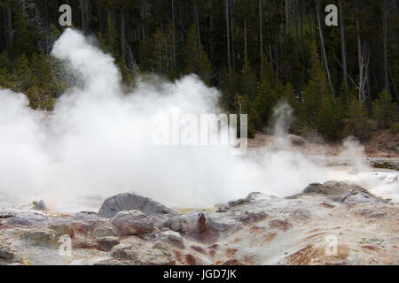 Nahaufnahme der Steamboat-Geysir im Norris-Geysir-Becken im Yellowstone-Nationalpark Stockfoto