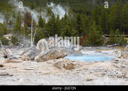 Porkchop-Geysir, Back Basin, Norris Geyser Basin, Yellowstone-Nationalpark Stockfoto