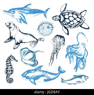 Meeresbewohner - Llustration Farbe Vektor Hand gezeichnet Vintage Zusammensetzung. Realistische Schildkröte, Delfin, Killerwal, Surfschulen, Seebär, Meer Bär, jell Stock Vektor