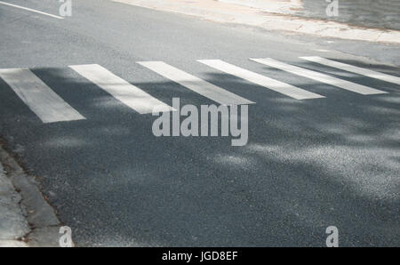 Zebrastreifen. Markierung auf der Straße. Ein Schatten von einem Baum auf einer schmalen Straße. Stockfoto