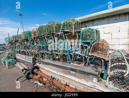 Hummer-Töpfe, Blyth, Großbritannien Stockfoto