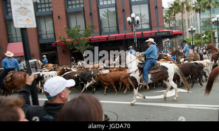 200 Longhorn-Rinder marschierten durch die Innenstadt von San Diego bei einem Almabtrieb, das San Diego County Fair zu fördern. Cowboys, Pferde und Hütehunde geführte 200 Longhorn Kühe auf einer Strecke über öffentliche Straßen von Downtown San Diego, San Diego County Fair zu fördern.  Mitwirkende: Atmosphäre wo: San Diego, Kalifornien, Vereinigte Staaten bei: Kredit-3. Juni 2017: Tony Forte/WENN Stockfoto