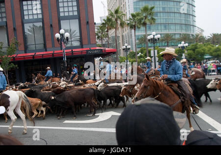 200 Longhorn-Rinder marschierten durch die Innenstadt von San Diego bei einem Almabtrieb, das San Diego County Fair zu fördern. Cowboys, Pferde und Hütehunde geführte 200 Longhorn Kühe auf einer Strecke über öffentliche Straßen von Downtown San Diego, San Diego County Fair zu fördern.  Mitwirkende: Atmosphäre wo: San Diego, Kalifornien, Vereinigte Staaten bei: Kredit-3. Juni 2017: Tony Forte/WENN Stockfoto