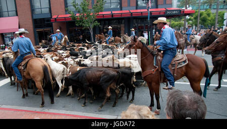 200 Longhorn-Rinder marschierten durch die Innenstadt von San Diego bei einem Almabtrieb, das San Diego County Fair zu fördern. Cowboys, Pferde und Hütehunde geführte 200 Longhorn Kühe auf einer Strecke über öffentliche Straßen von Downtown San Diego, San Diego County Fair zu fördern.  Mitwirkende: Atmosphäre wo: San Diego, Kalifornien, Vereinigte Staaten bei: Kredit-3. Juni 2017: Tony Forte/WENN Stockfoto