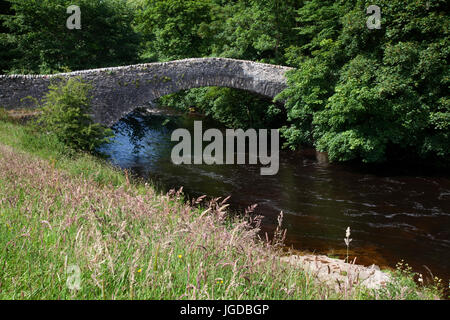 Stainforth Kraft Wasserfälle und Brücke, in der Nähe von Settle, North Yorkshire Dales Stockfoto