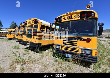 Amerikanische Schulbusse in ein Busparkplatz. Stockfoto