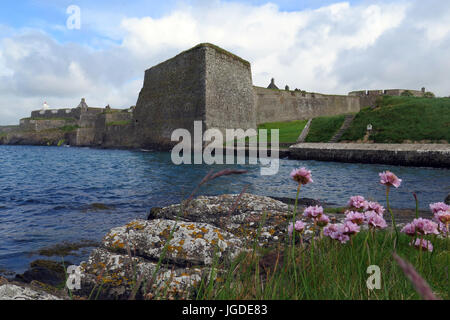 Charles Fort, Sommer Bucht, Kinsale, Irland Stockfoto