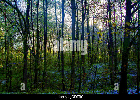 der Schnee, der im Frühjahr in Moskau, Russland fiel Stockfoto