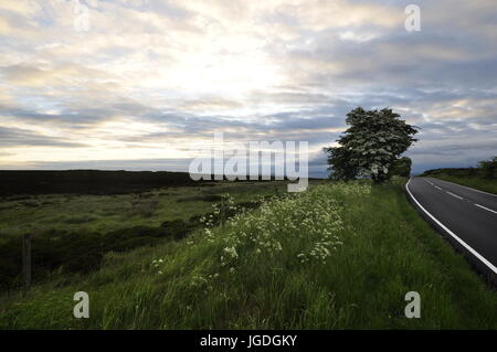 Peak District, Blick nach Osten in Richtung Ringinglow aus OS Gitter 273833 auf Hallam Moors westlich Grenze Sheffield Derbyshire/South Yorkshire UK Stockfoto