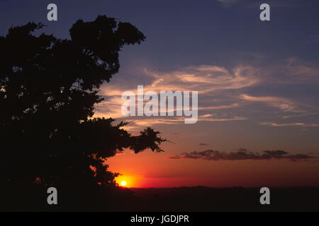 Mt Scott Sonnenuntergang mit Wacholder, Wichita Mountains National Wildlife Refuge, Oklahoma Stockfoto