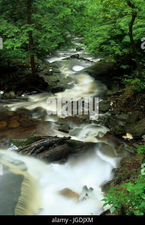 Küche-Creek-Kaskade im Ganoga Glen, Ricketts Glen State Park, Pennsylvania Stockfoto