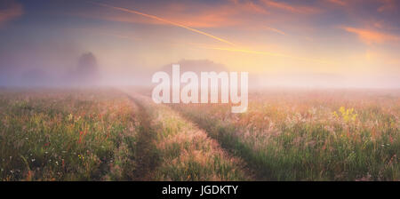 Foggy Herbstmorgen. Frische Herbst Natur. Hellen Sonnenaufgang am Herbst Wiese. Stockfoto