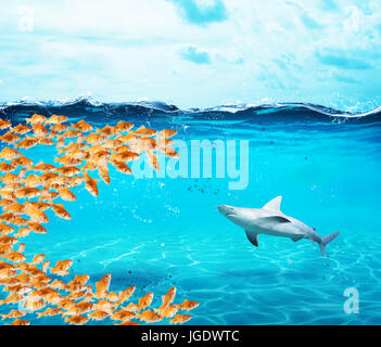 Goldfischen Gruppe machen einen großen Mund, den Hai zu essen. Konzept der Einheit ist Stärke, Teamwork und Partnerschaft Stockfoto