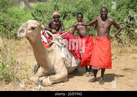 Drei Samburu Männer mit Dromedar aus Nordkenia, Drei Samburu-Maenner Mit Dromedar aus Nordkenia Stockfoto