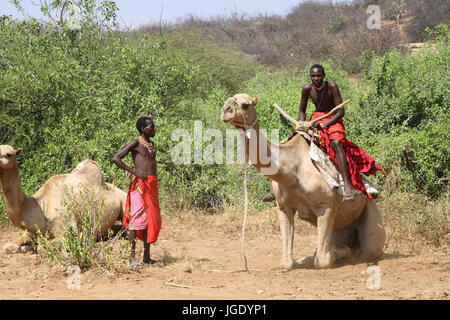 Samburu Männer mit Dromedar aus Nordkenia, Samburu-Maenner Mit Dromedar aus Nordkenia Stockfoto