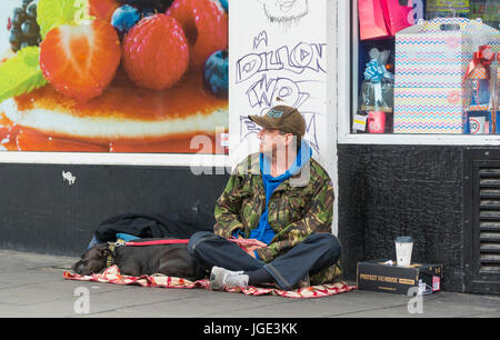 Obdachloser mit einem Hund sitzt auf einer Straße im Vereinigten Königreich. Stockfoto