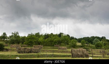 Heuhaufen in der Landschaft der Region Maramures, Rumänien Stockfoto