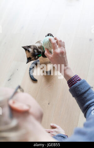 Frau spielt mit cat Stockfoto