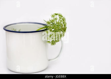 Minimale Stillleben - Dill Blume im weißen Topf.  Ammi Majus in weißen Topf auf weißem Hintergrund. Stockfoto