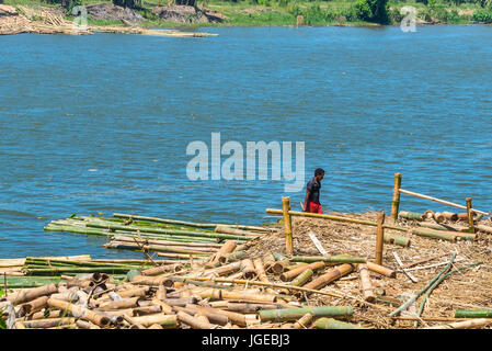 Toamasina, Madagaskar - 22. Dezember 2017: Unidentified Madagaskar Mann arbeitet an Bambus Ernte am Fluss in der Nähe der Stadt von Toamasina (Tamata Stockfoto