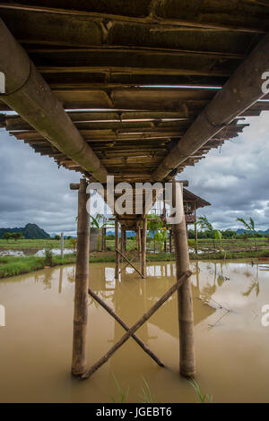 Brücke und Reis Feld im südlichen Myanmar Stockfoto