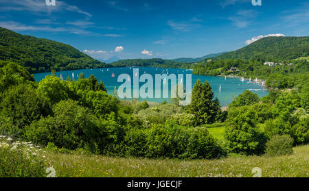 Großer See der Wälder Stockfoto