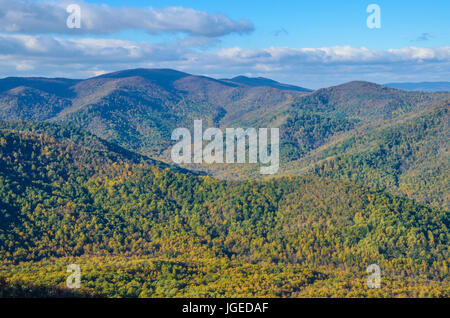 Alte Lappen Bergblick in Shenandoah, Virginia mit gelben und goldenen orange Laub auf die Wälder Stockfoto