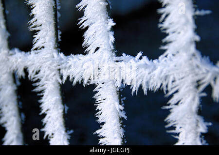 Maschendrahtzaun im Winter mit Frost mit unscharfen Hintergrund bedeckt. Stockfoto