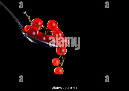 Reife rote Johannisbeere Beeren auf einem schwarzen Hintergrund. Stockfoto