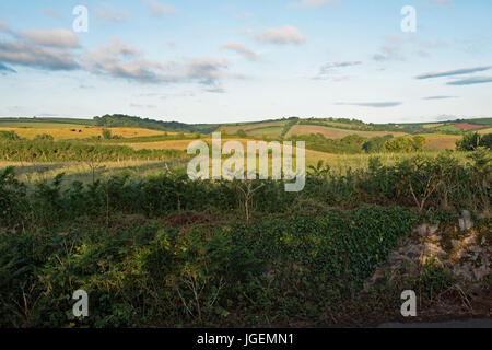 Die schöne Landschaft rund um Slapton, Devon. Stockfoto