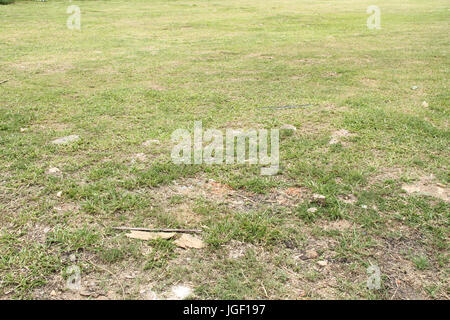 Grass, Land, Landschaft, Vororten, 2014, Hauptstadt, São Paulo, Brasilien. Stockfoto