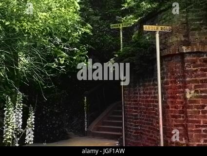 Die Arden Schritte bei 38 Mosswood Arden unterwegs, in der Berkeley Hügel außerhalb Berkeley, Kalifornien, 1950. Hinweis: Bild wurde digital eingefärbt wurde mit einem modernen Verfahren. Farben können Zeit ungenau sein. Stockfoto