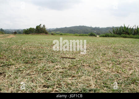 Landschaft, Vororten, 2014, Hauptstadt, São Paulo, Brasilien. Stockfoto