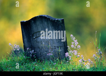 "Abigail" A Grab in einem alten Vermont-Friedhof in der Nähe von Plymouth, Vermont, USA Stockfoto