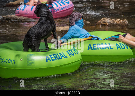 Schlauch am Chattahoochee River in Helen, Georgia. Stockfoto