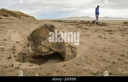 Schutt und Geröll links auf Walisisch Strand folgenden starken Wind- und Wetterbedingungen. UK. Stockfoto