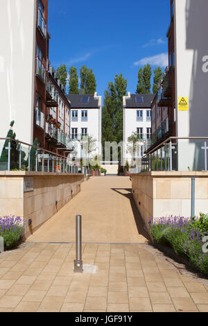 Moderne Häuser auf der neuen Entwicklungswebsite unter Hungate in der historischen Stadt York unter einem blauen Sommerhimmel Stockfoto